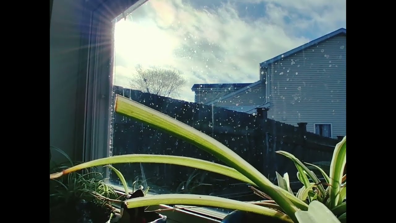 snowfall 