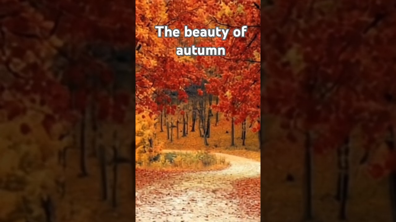 The beauty of autumn💖🍁#attractive #natur#naturlovers#beauty#most#travel#lovely#weather#life#moments❤