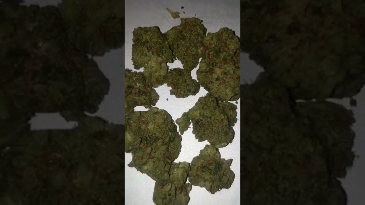 SOUR SHIZU BY THE TEN CO