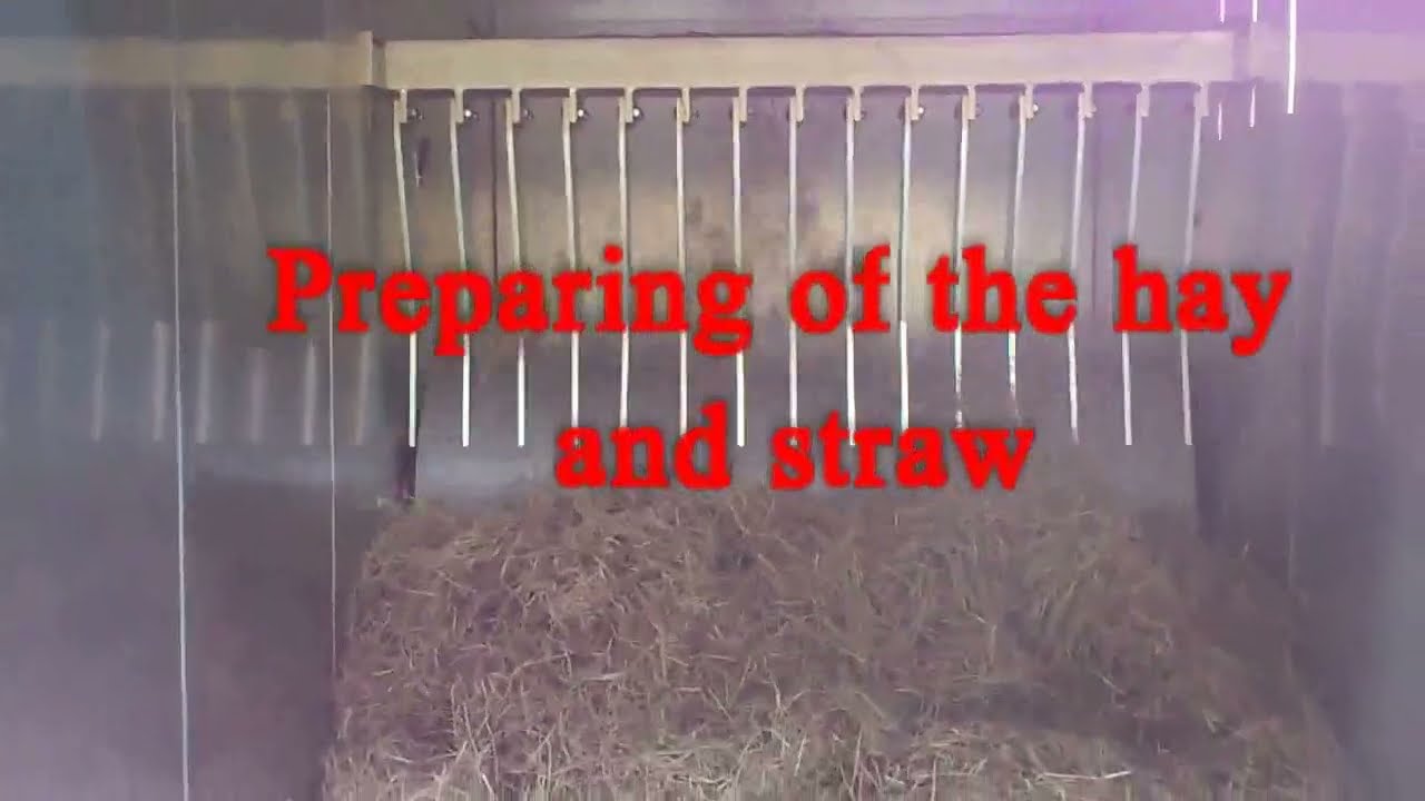 Corporate video 2014