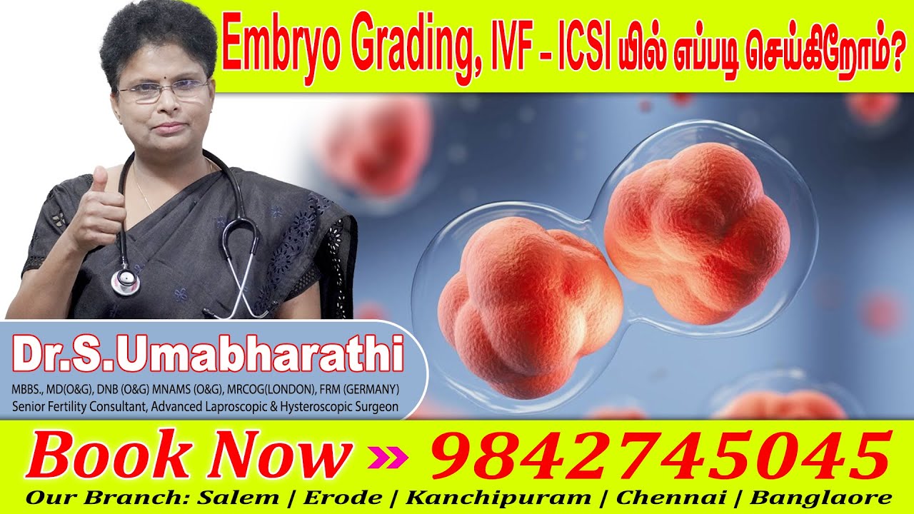 Embryo Grading, IVF - ICSI யில் எப்படி செய்கிறோம்? | Dr.S.Umabharathi