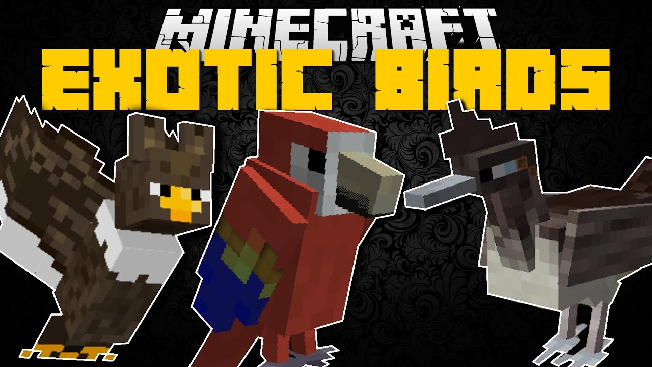 Minecraft EXOTIC BIRDS MOD!! (FIND ALL THE MISSING BIRDS) Mod Showcase