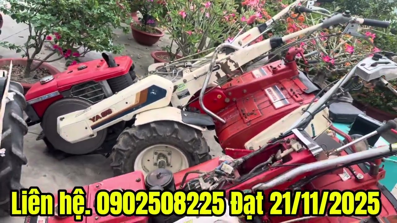 ngày 21 tháng 11, 2025