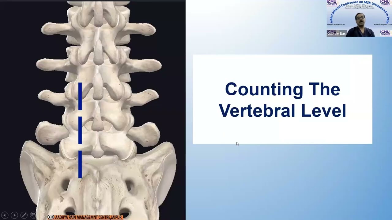 Lumbar spine ultrasonography | Spine ultrasound