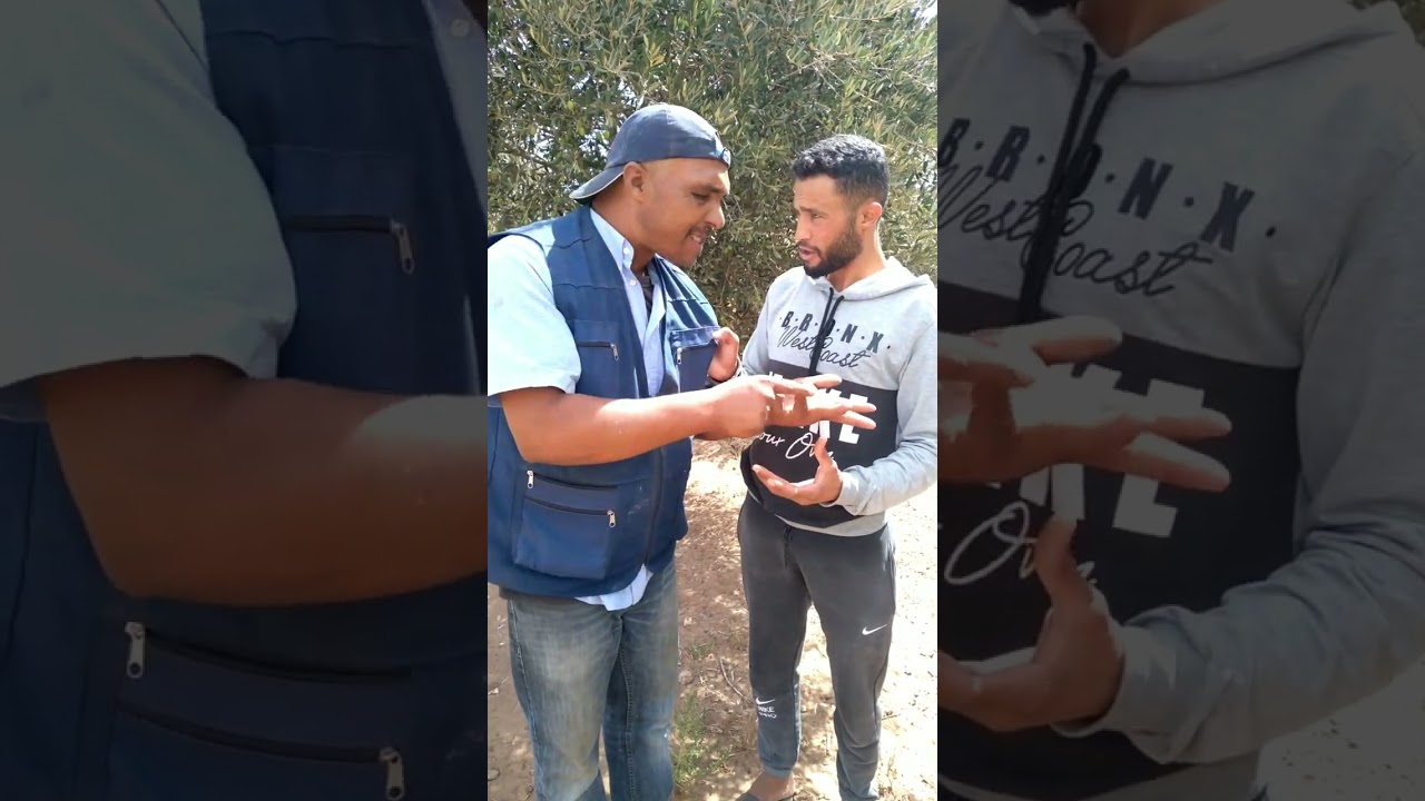باا شد رحماني و بوشعيب يخدمو معانا في زيتون ضاربو لينا رحماني حكار و محساد