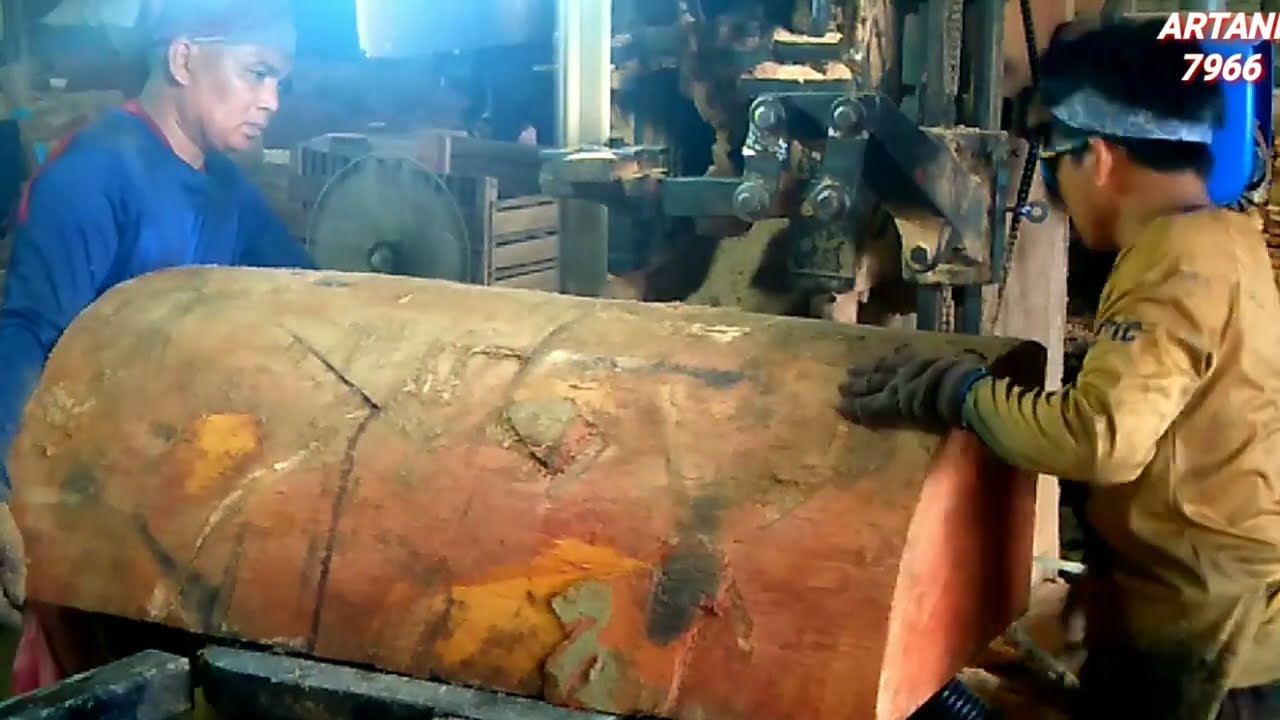KAYU TASAK CANTIK 