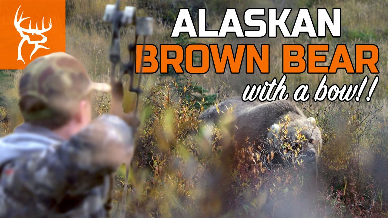 THE ULTIMATE PREDATOR | Grizzly at 20 YARDS with a BOW!