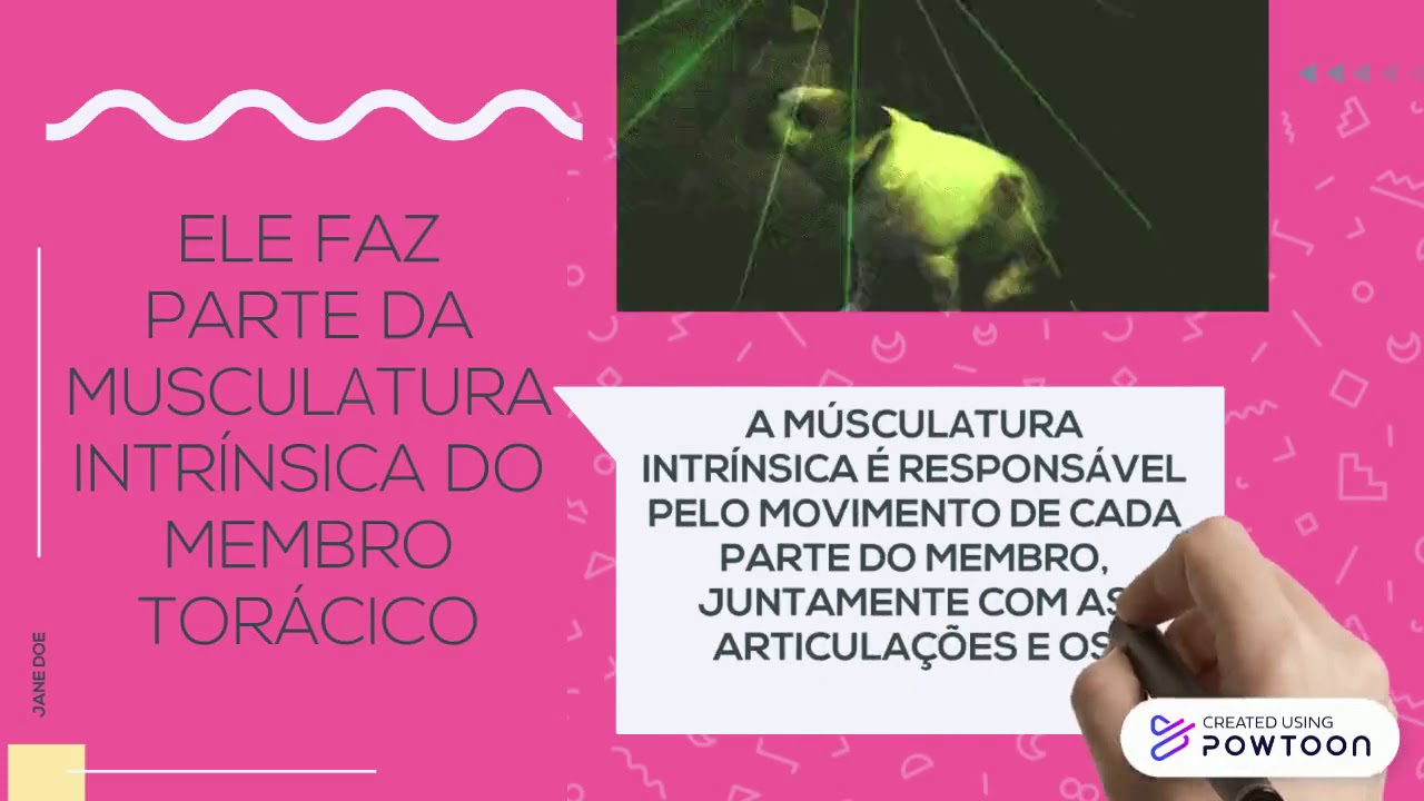 M&Uacute;SCULO SUPRAESPINHAL