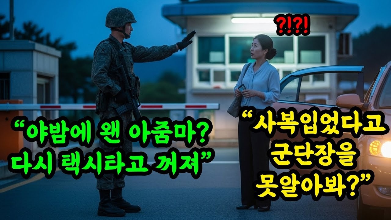 추석에 택시타고 온 여성을 쫓아낸 일병, 신분증을 확인한 순간 부대는 쑥대밭이 됐다  #오디오북   Copy