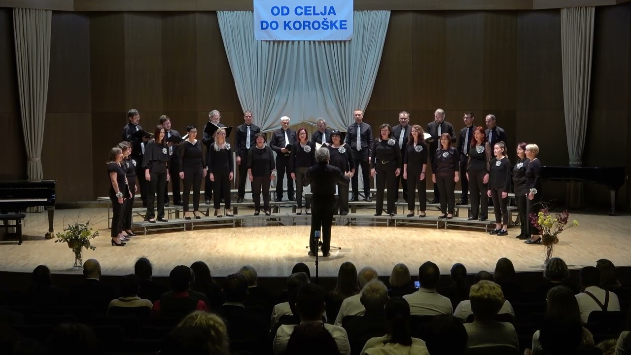 Regijsko tekmovanje odraslih pevskih zasedb Od Celja do Koroške 2025, MePZ A Cappella KD Petrovče