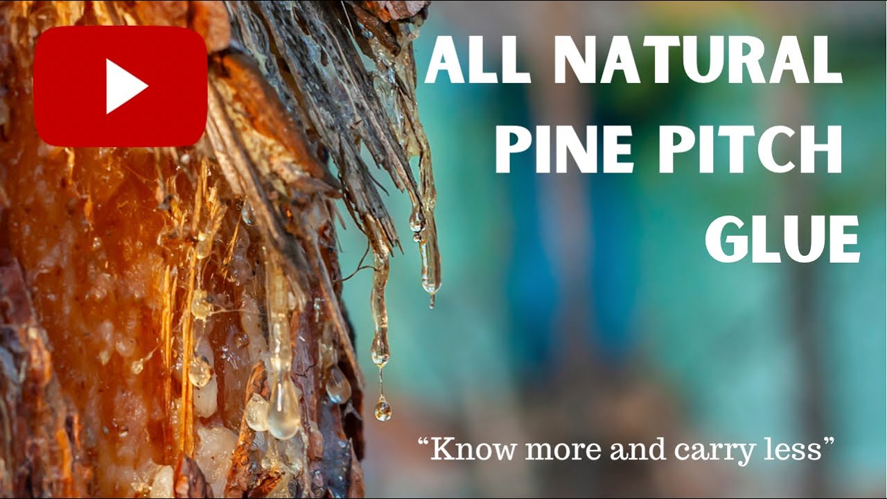 All Natural Pine Pitch Glue