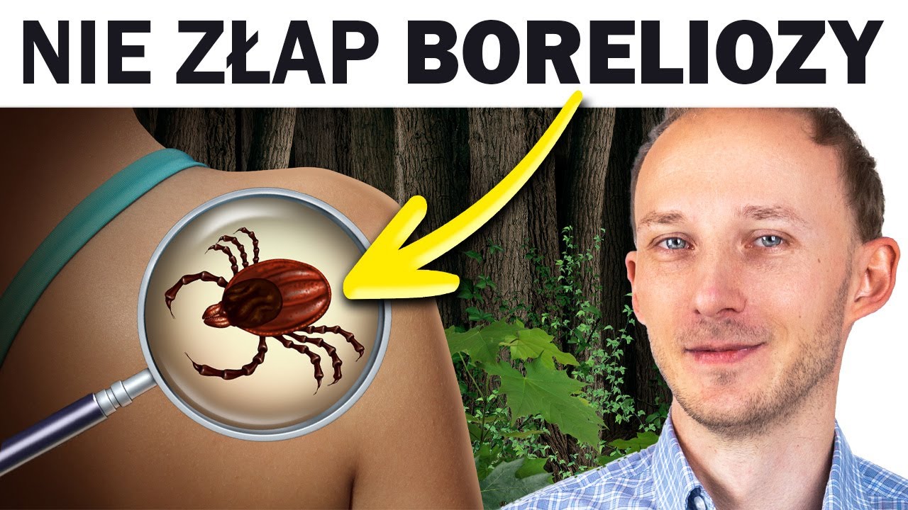 Jak uniknąć kleszczy i nie złapać boreliozy? Najlepsze sposoby
