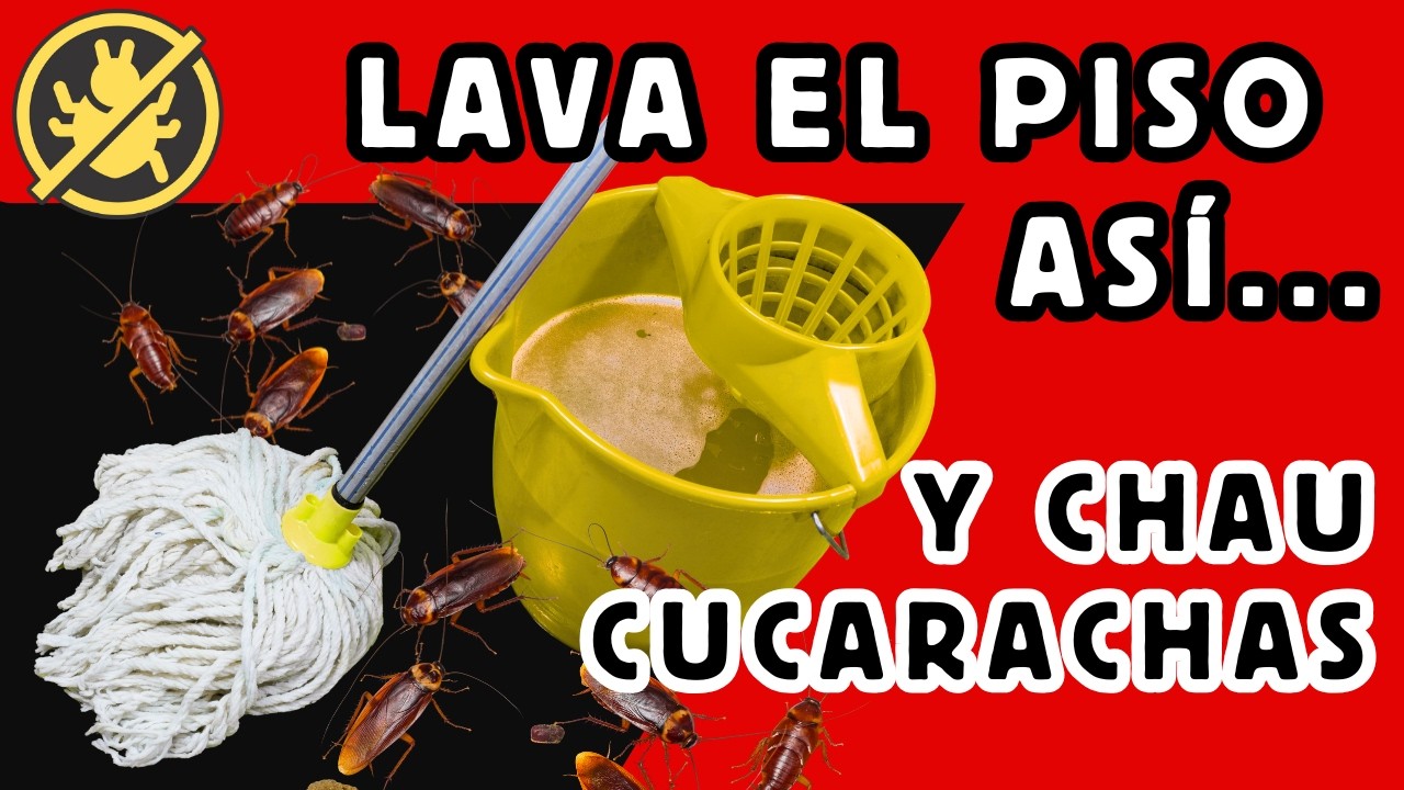 CÓMO FREGAR el SUELO para que las CUCARACHAS NO VUELVAN