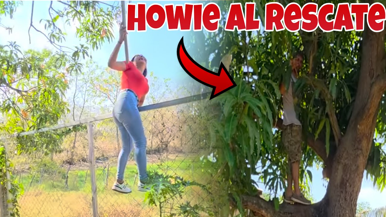 Ya Es Temporada de Mangos😍Jacky Y Jawi🇺🇸Se suben al Palo A bajarlos 
