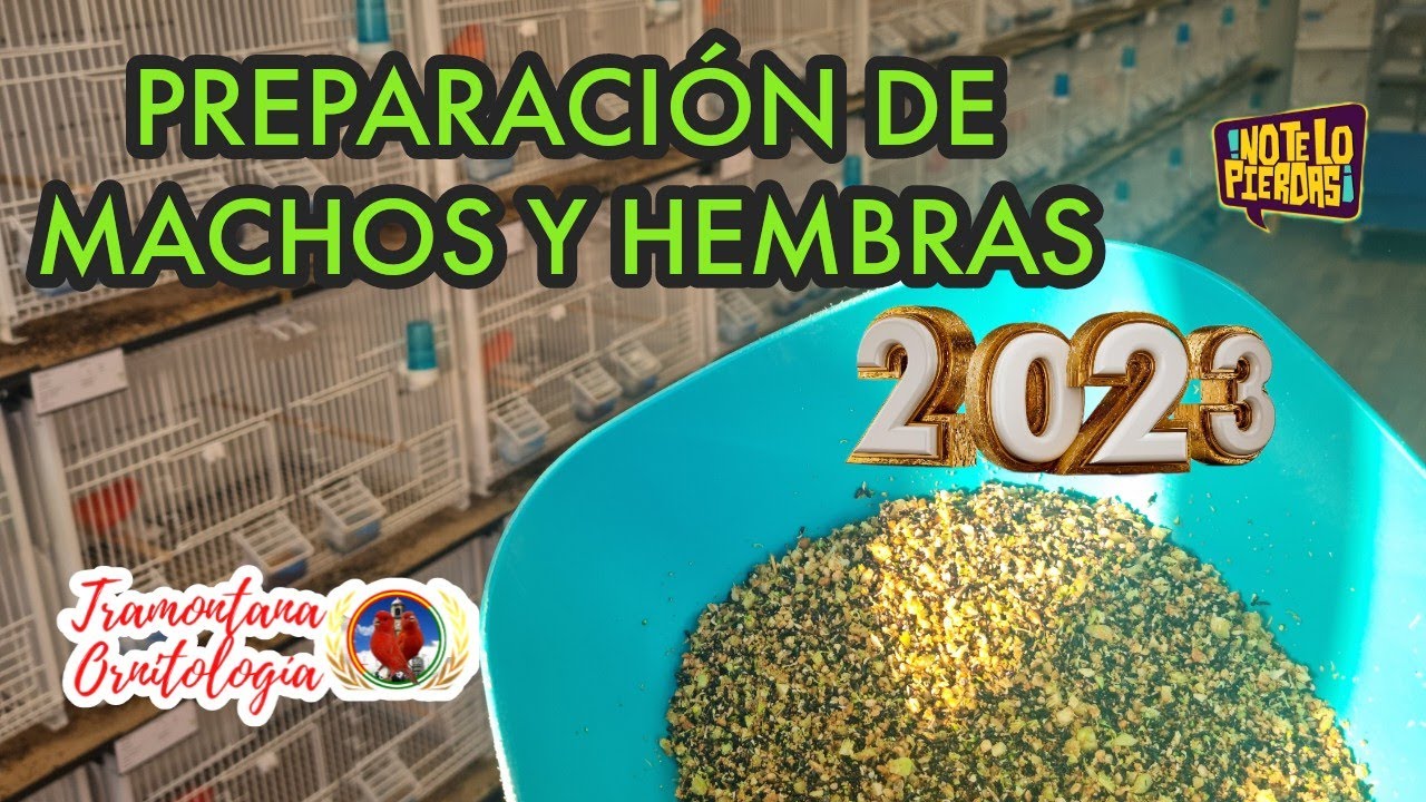 PREPARACIÓN DE MACHOS Y HEMBRAS...2023.