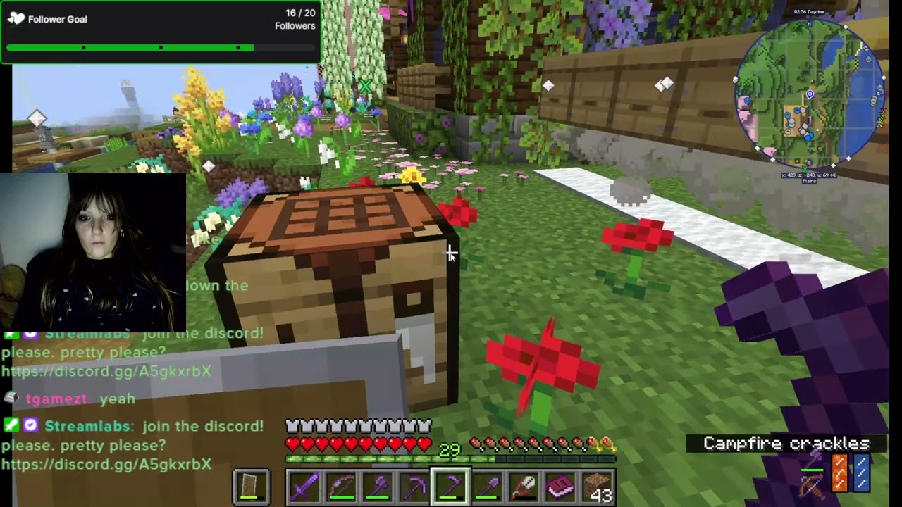 playing minecraft to cool off from whatever the funk mouthwashing was (2/2 VOD)