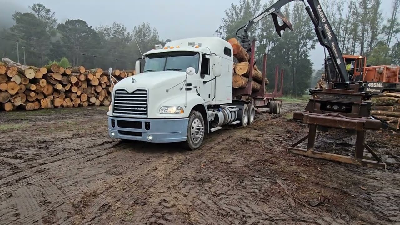 Mississippi Logging: Logger Getting Logs Off