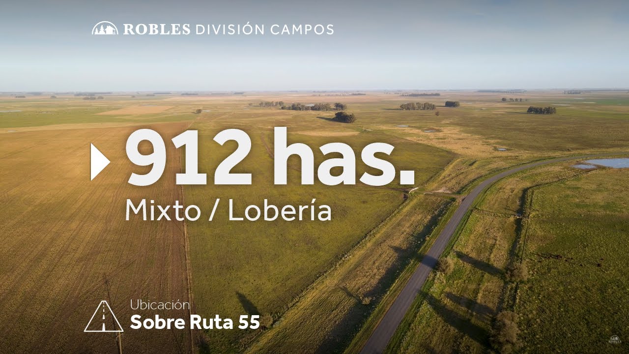 Lobería - 912 has. Mixto sobre ruta 55.