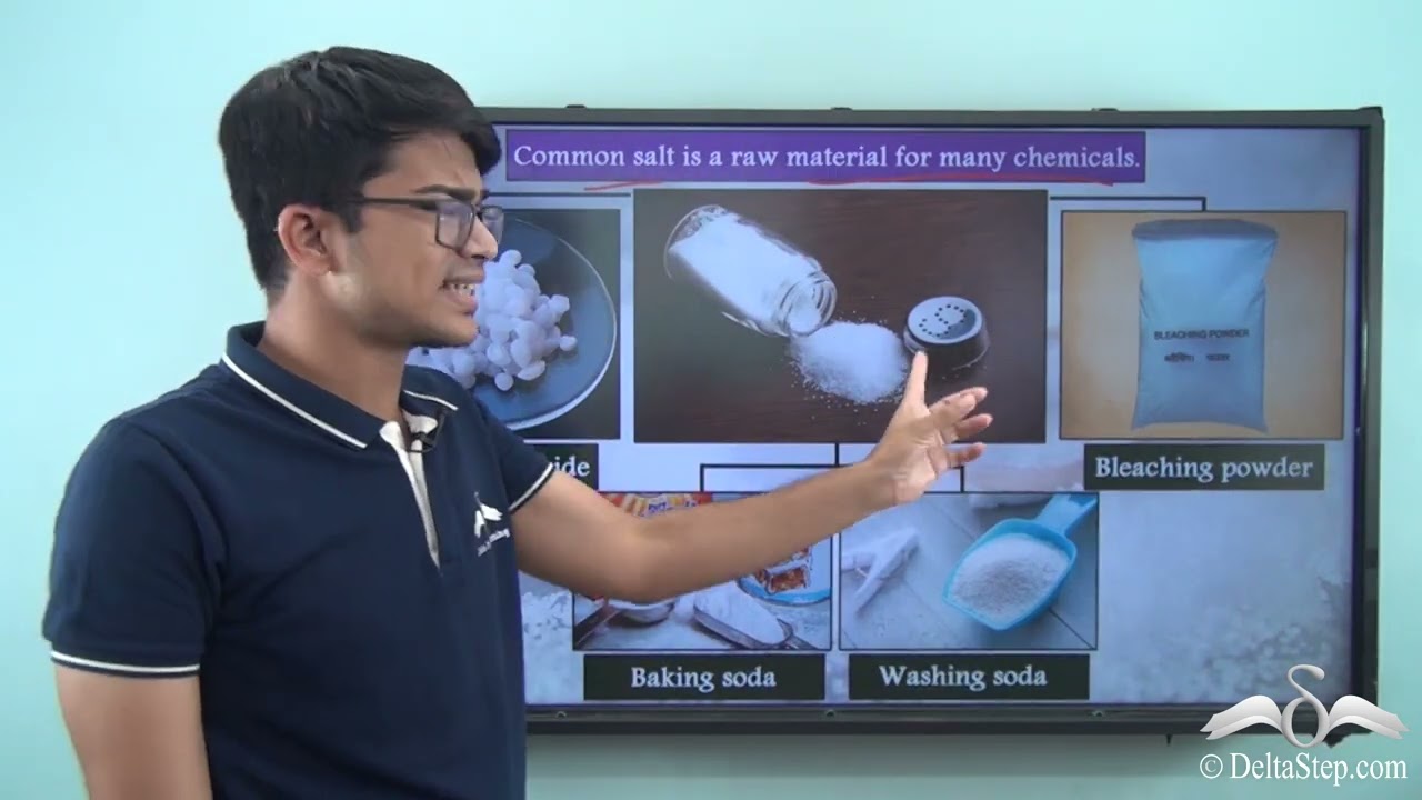 Chemicals from Common Salt Part I