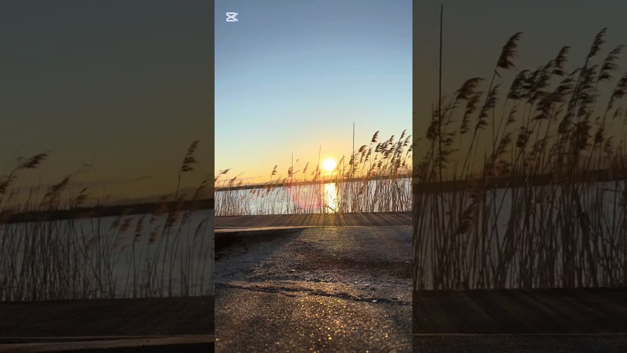 MỖI SÁNG ĐÓN CHÀO MẶT TRỜI,ĐIỀU KÌ DIỆU SẼ ĐẾN VỚI CÁC BẠN THÂN YÊU!