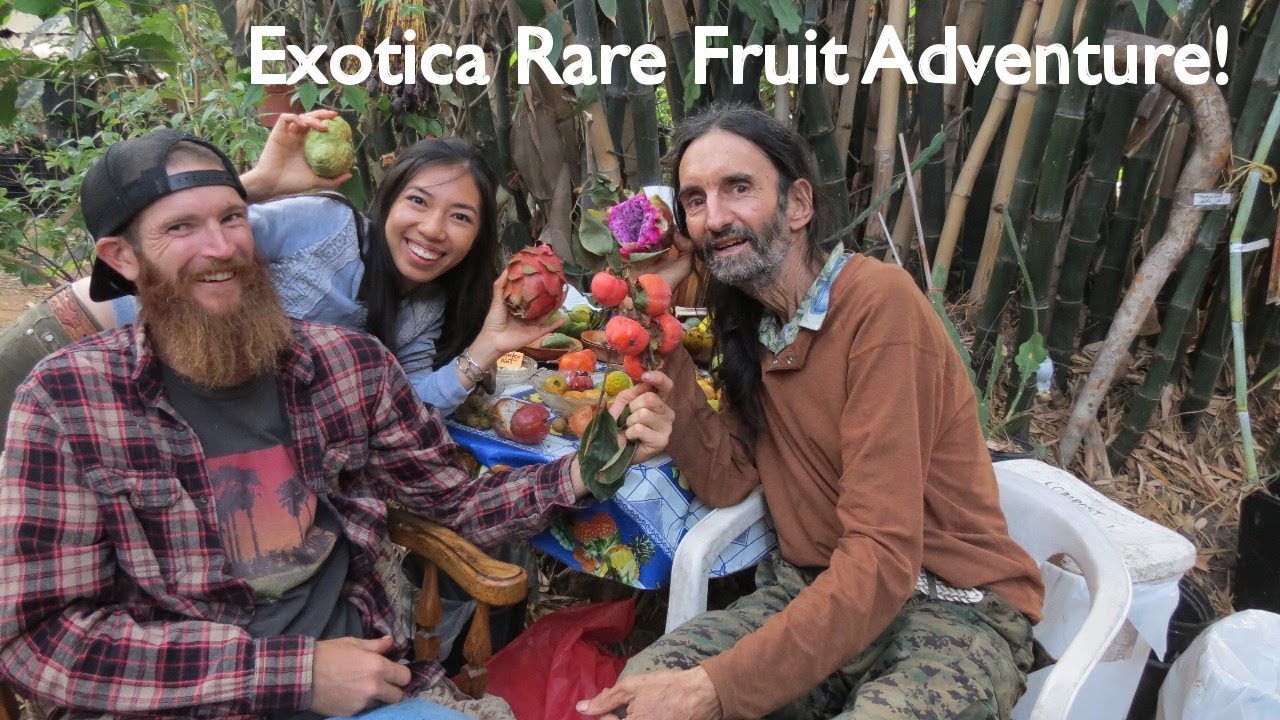 Best Tropical Fruit Nursery In Southern California Tour
