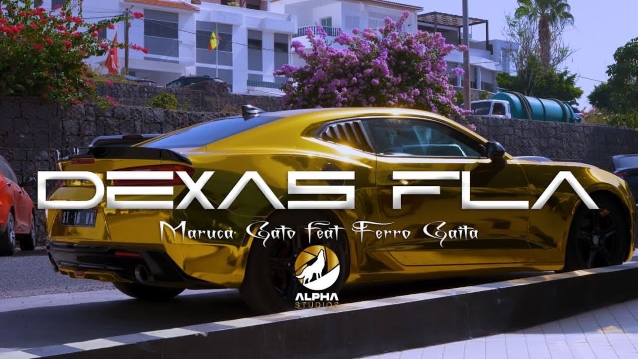 Maruca gato, Ferro Gaita -Dexas Fla