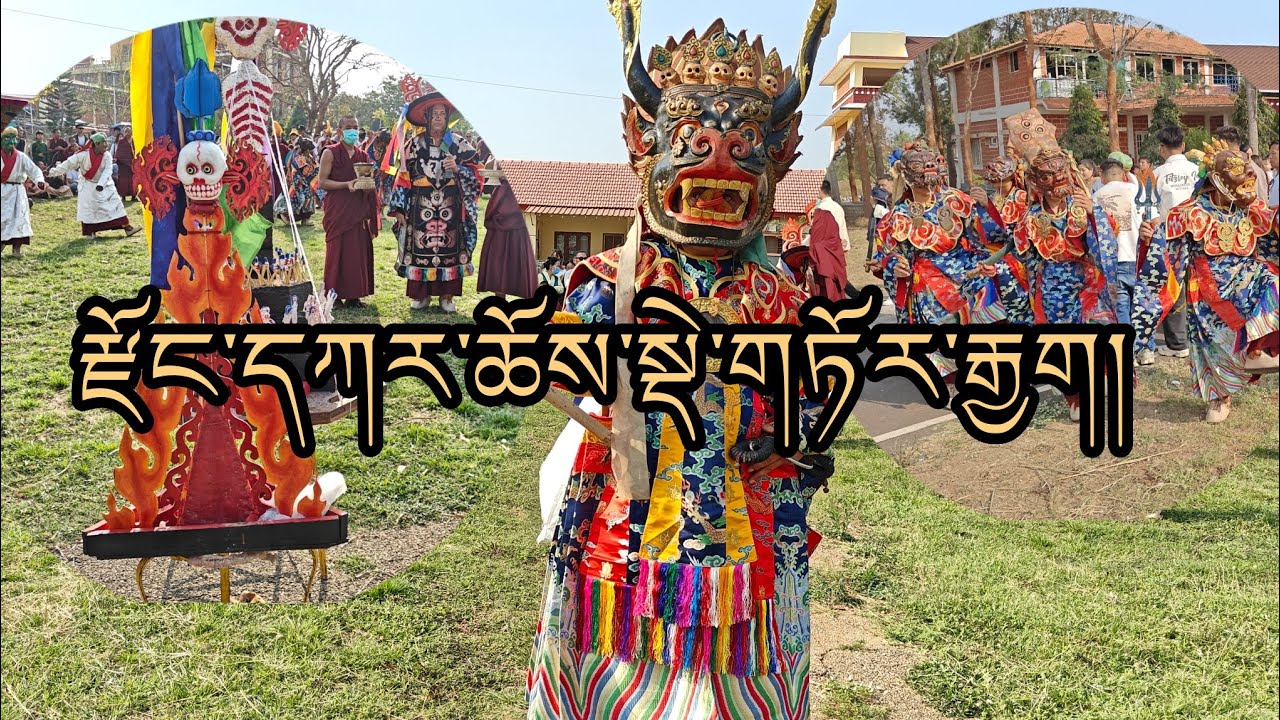 Dzongkar Choede Tor Gya 16 February 26 # Hunsur 🙏🙏🙏