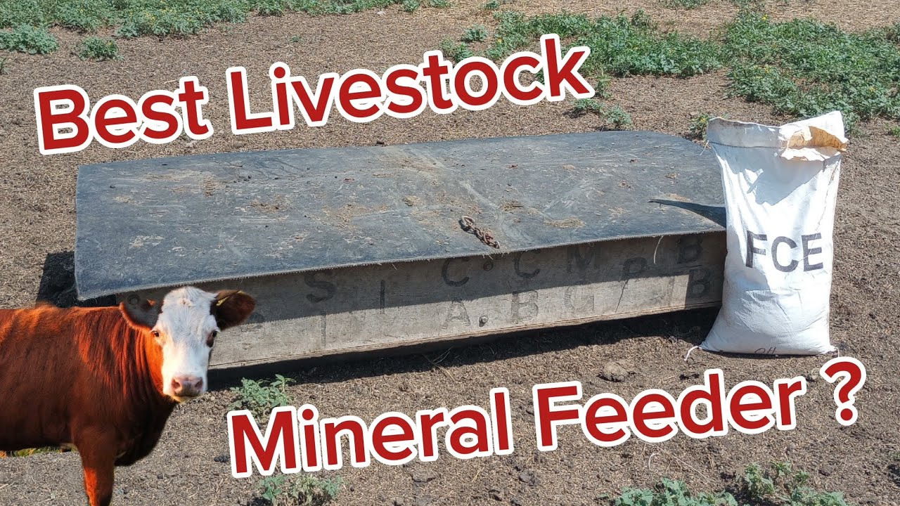Free Choice Mineral Buffet by Free Choice Enterprises