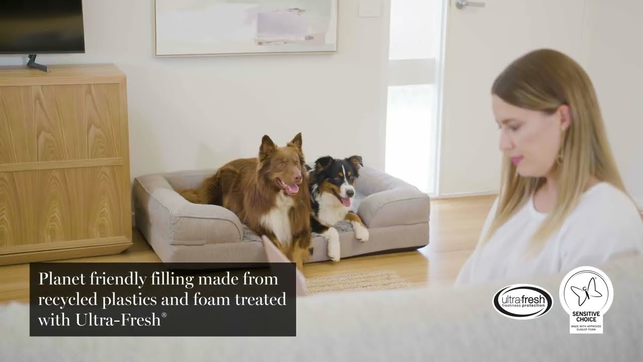 Superior Pet Ortho Dog Sofa