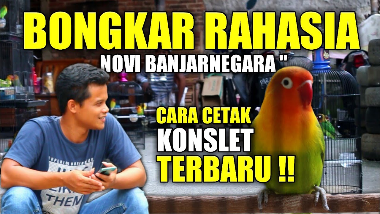BONGKAR RAHASIA CETAK LOVEBIRD KONSLET TERBARU !! NOVI BANJARNEGARA