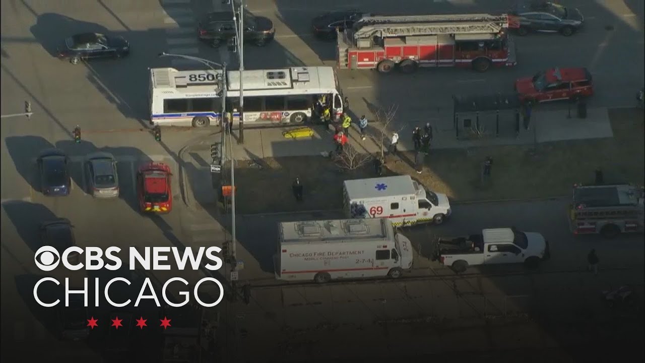 Car, CTA bush crash in Bronzeville with over a dozen reportedly injured