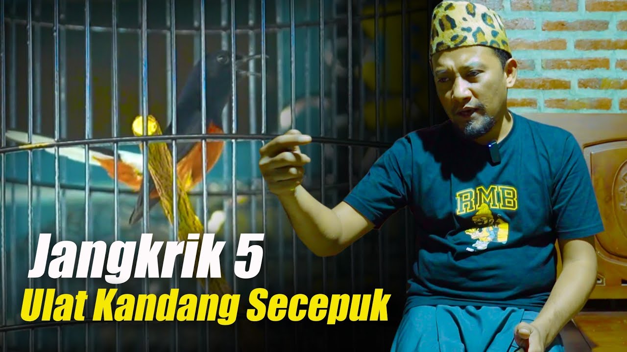 5 CRICKETS 5 WORMS KANDANG SEEPUK ‼️6 месяцев стабильного чемпиона