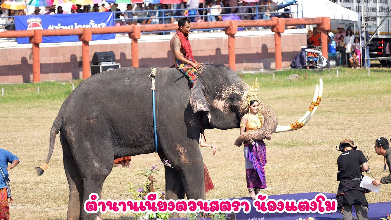 ตำนานเนียงตวนสตรา แสดงของน้องแตงโม  นักร้องนำวงดนตรีโรงเรียนสังขะ จ.สุรินทร์ แชมป์ชิงช้าสวรรค์ 2024