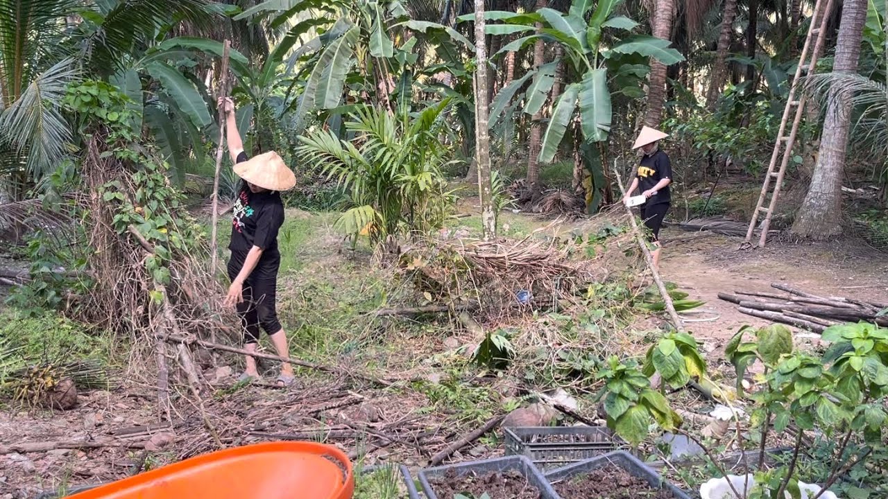 Dọn Dẹp Quanh Nhà Chuẩn Bị Trả Đất Để Nhà Nước Làm Lộ|Atml