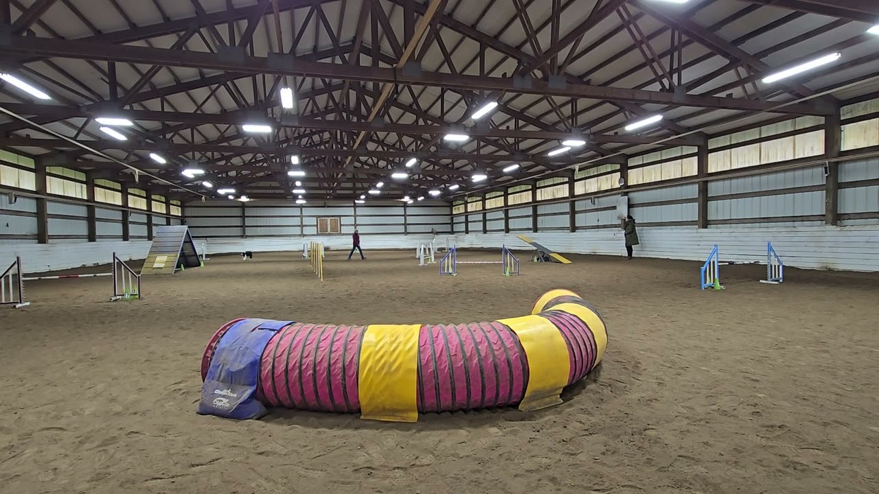 Arlo Agility Class (1) 02-23-2026