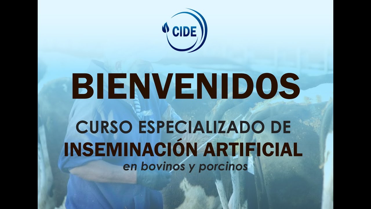 CURSO DE INSEMINACION ARTIFICIAL DIA 1