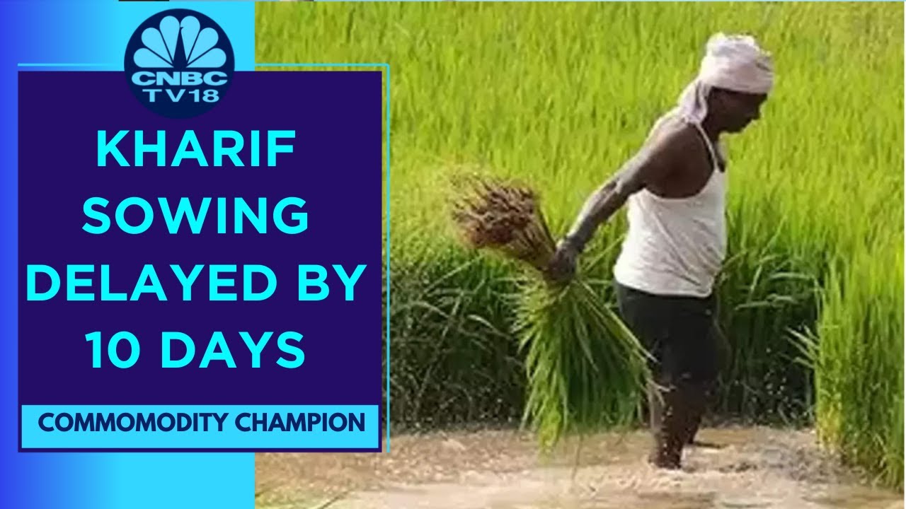 Spotlight On Agriculture Sector: Monsoon Delay Slows Sowing Of Kharif Crops | CNBC TV18