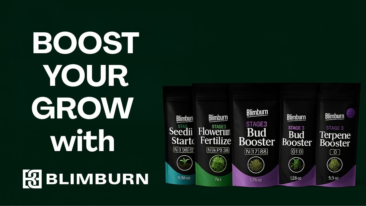 How to Feed Plants for Maximum Growth | Blimburn Nutrients