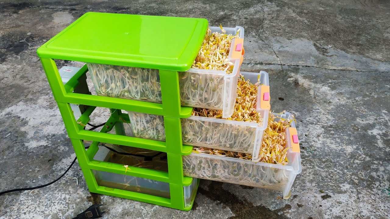Tự chế máy làm giá đỗ ( rau sạch) tự động | sáng chế hữu ích cho mọi nhà