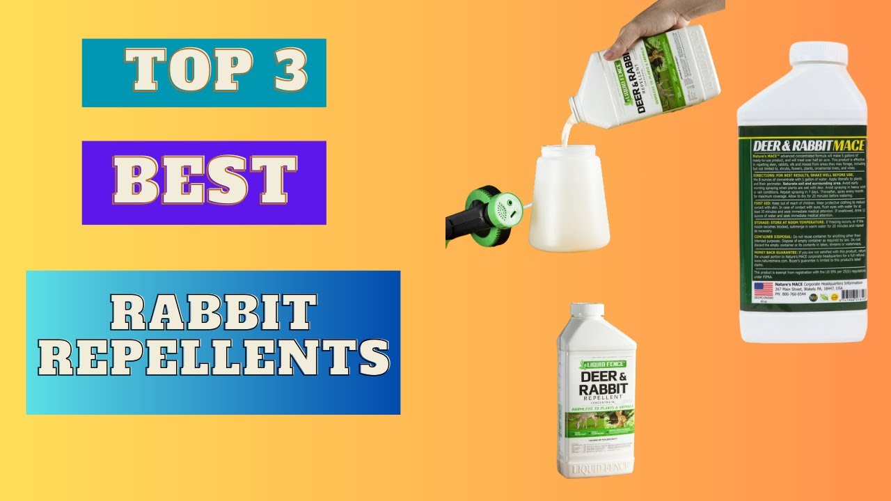 Rabbit Repellents | Gurden Tools | 2023