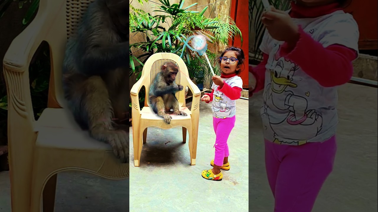 aabra ka dabra gili gili chu @Shorts#shorts #viralvideo #trending #vfxshorts