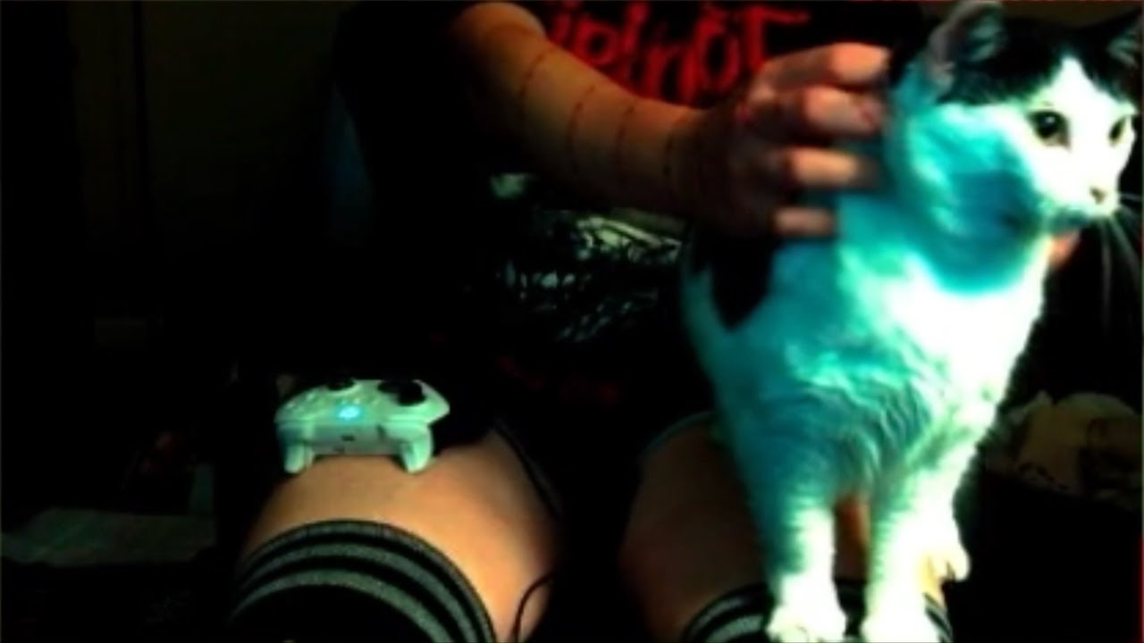 a nice moment with a fat kitty