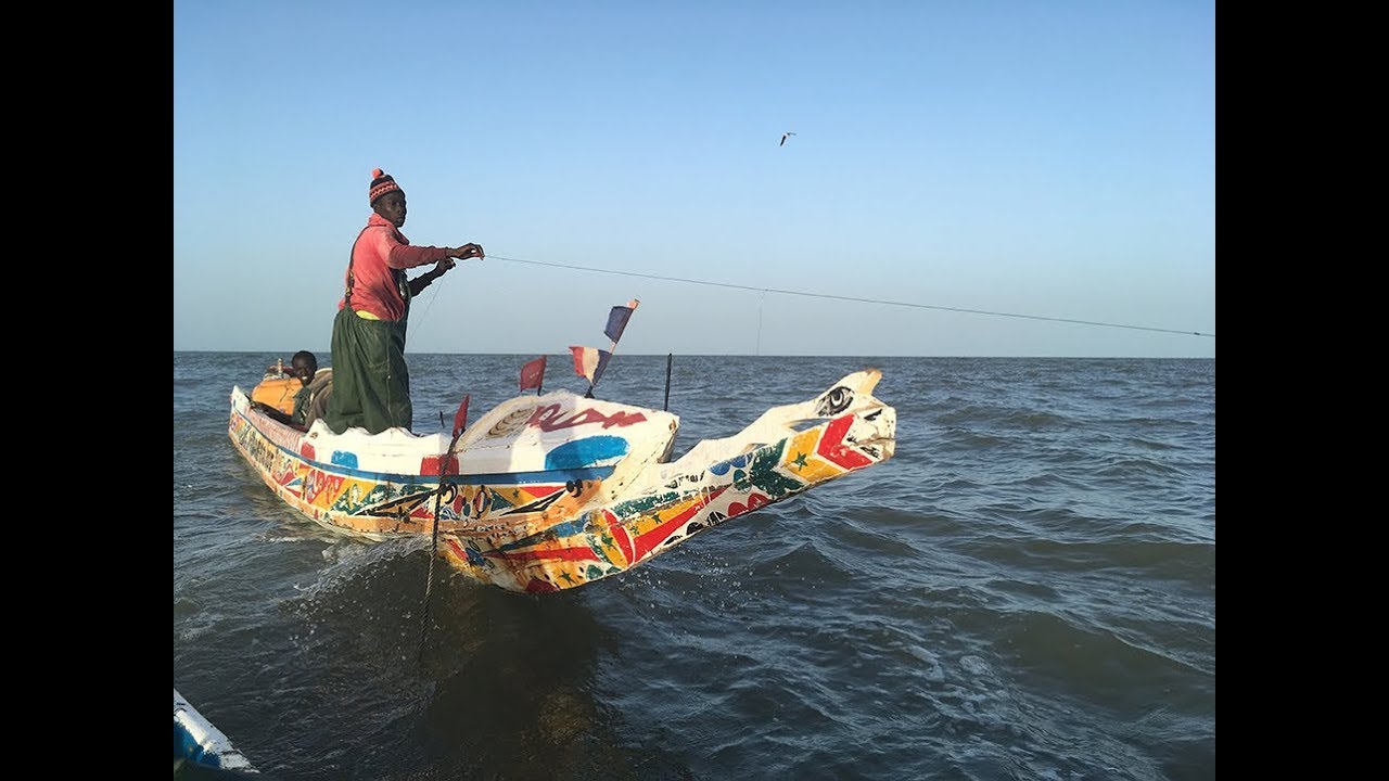 Fishing by Pirogue, off Gambia, West Africa (41 mins duration)