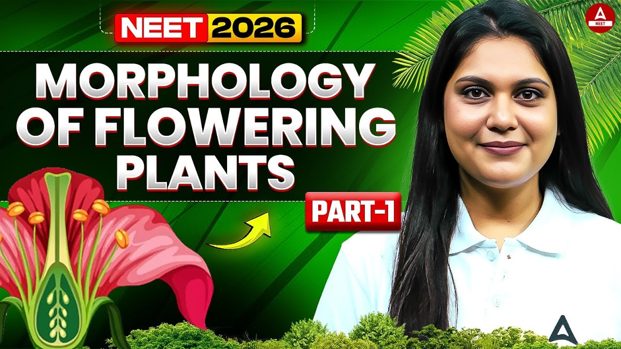 NEET 2026 Biology: Morphology in Flowering Plants by Garima Goel Ma'am (PART - 1)