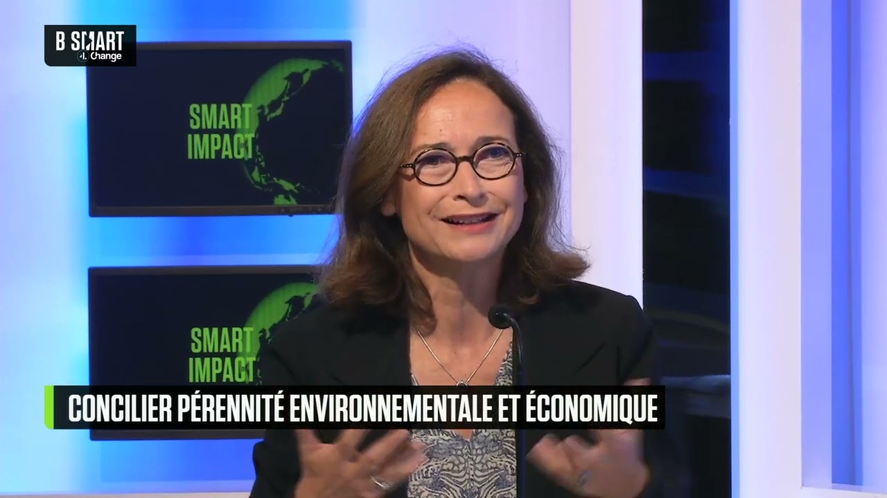 SMART IMPACT - Limites plan&eacute;taires : les entreprises sont-elles &agrave; la hauteur ?