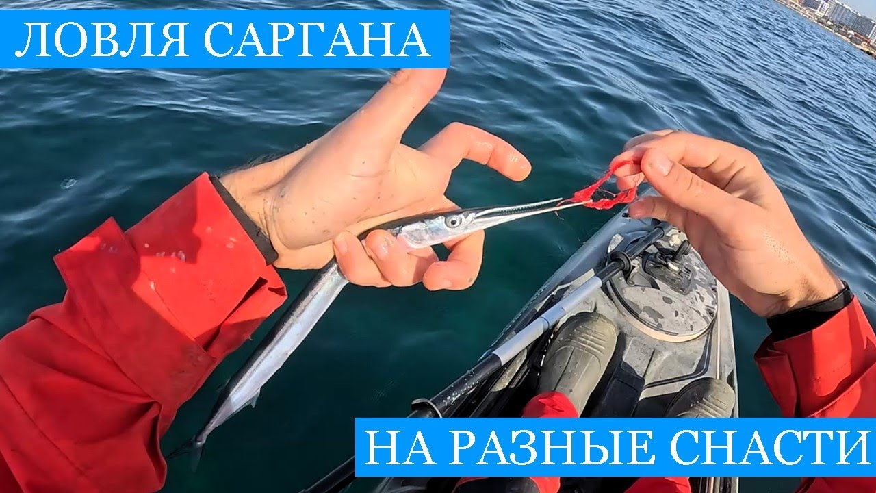 Как поймать САРГАНА без КРЮЧКА??? Февральская рыбалка на Черном Море, разные способы лова и готовки)