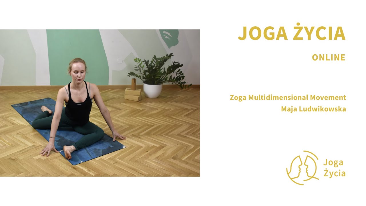 Zoga Movement