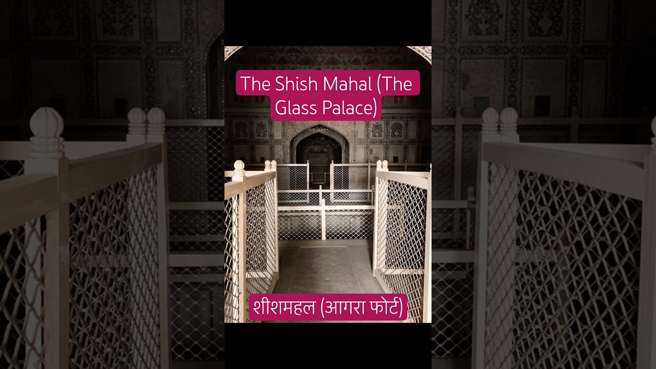 Agra fort all tour in 1 short video ||short video 