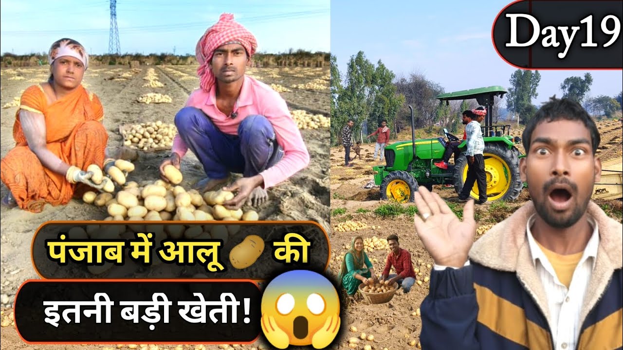 पंजाब में आलू की इतनी बड़ी खेती! 🚜😱 देखकर आँखें फटी की फटी रह जाएंगी! | Day 19 | Deva Pardesi Vlogs