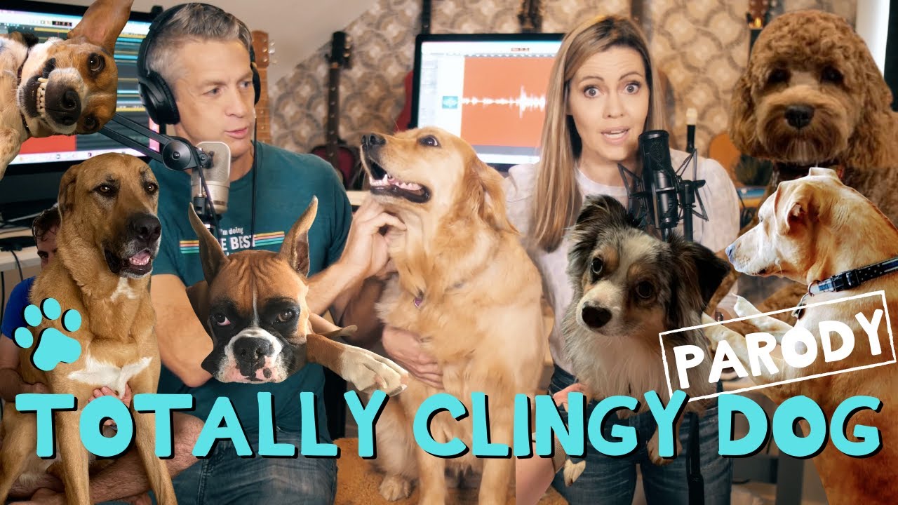 Totally Clingy Dog - 